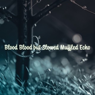 Blood Blood but Slowed Muffled Echo