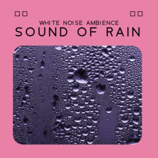 White Noise Ambience Sound of Rain, Peaceful Relaxation For Sleep and Study