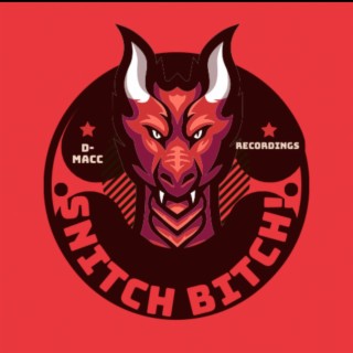 SNITCH BITCH! (Explicit Lyrics!)