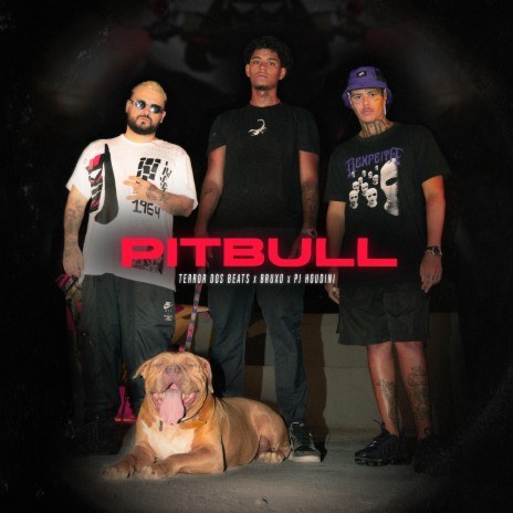 Pitbull ft. Bruxo 021 & PJ HOUDINI