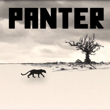 Panter | Boomplay Music