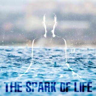 The Spark Of Life