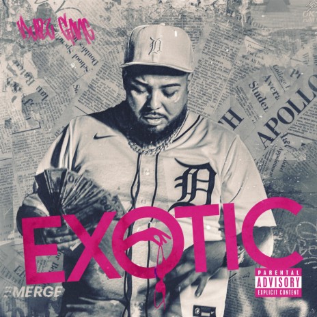 Exotic | Boomplay Music