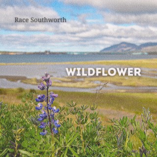 Wildflower lyrics | Boomplay Music
