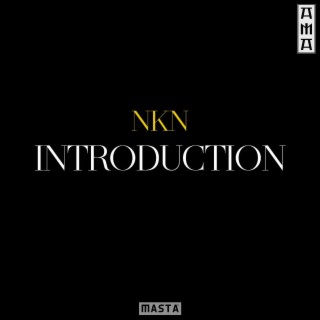 NKN INTRODUCTION lyrics | Boomplay Music