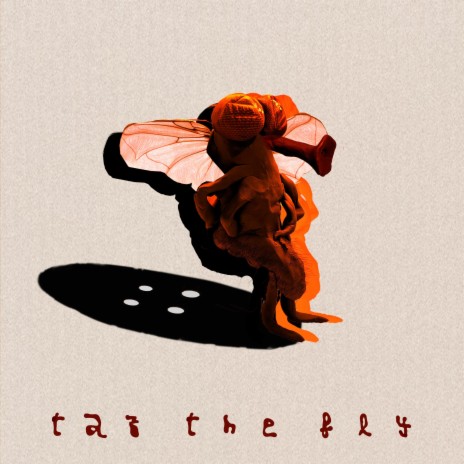 TAZ the fly | Boomplay Music