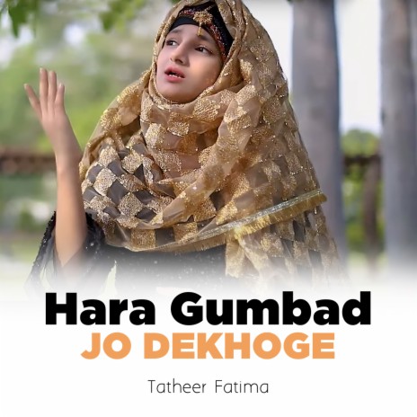 Hara Gumbad Jo Dekhoge | Boomplay Music