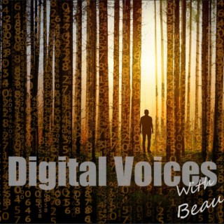 Digital Voices with Beau Tiffany