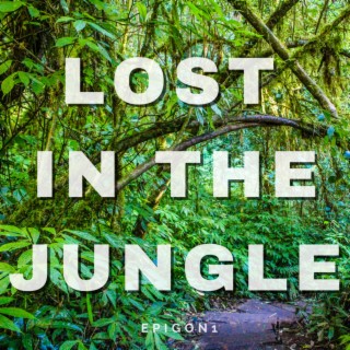 Lost In The Jungle