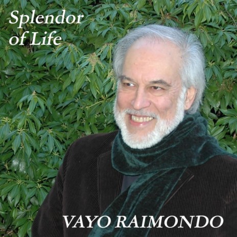 Splendor of Life | Boomplay Music