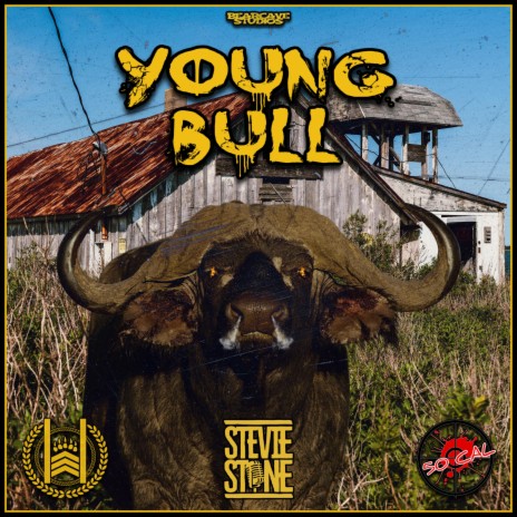 Young Bull ft. 50Cal & Stevie Stone