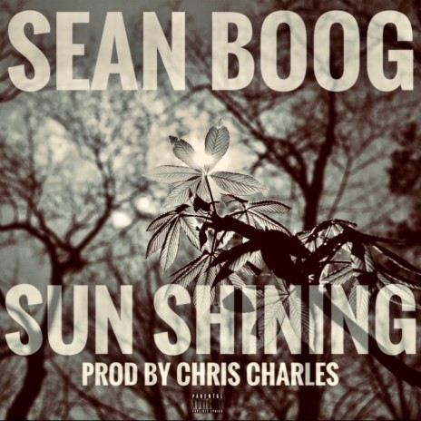 Sun Shining | Boomplay Music