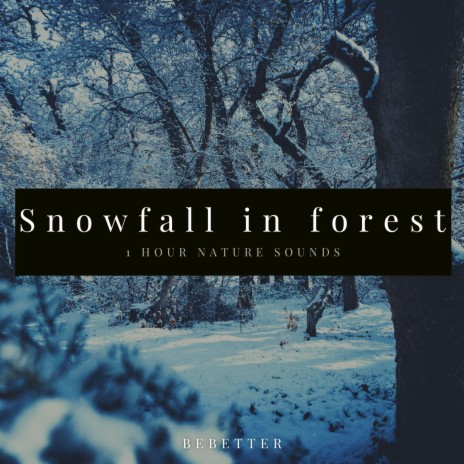 1hour Relaxing Snowfall on a forest