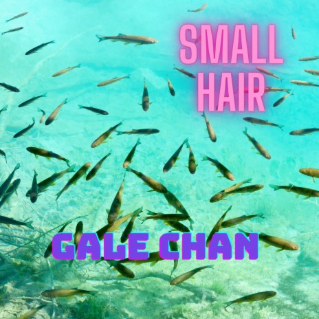 Small Hair | Boomplay Music