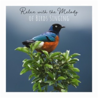 Singing Birds Zone