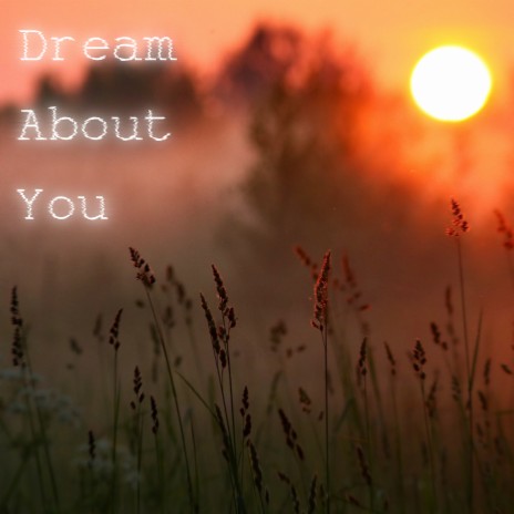 Dream about You