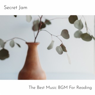 The Best Music BGM For Reading