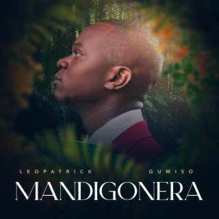 Mandigonera lyrics | Boomplay Music