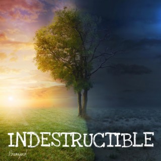 Indestructible lyrics | Boomplay Music