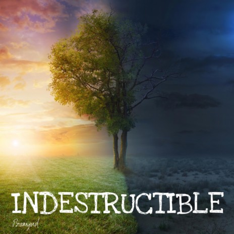 Indestructible | Boomplay Music