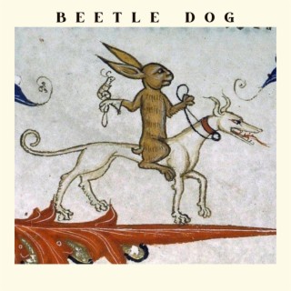 Beetle Dog (rushed like every stupid project missing 2 tracks)