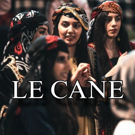 Kurdish _ Le cane_ | Boomplay Music