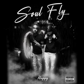 SOUL FLY