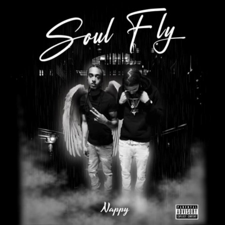 SOUL FLY | Boomplay Music