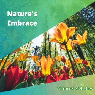 Nature's Embrace