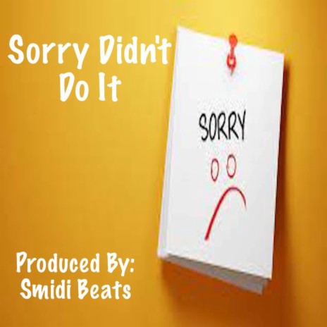 Sorry Didn't Do It | Boomplay Music