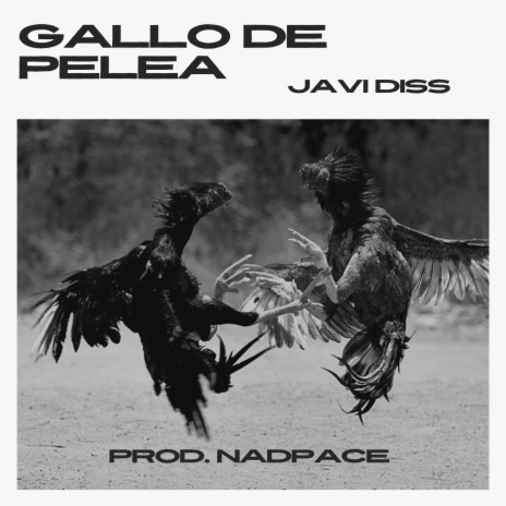 Gallo de Pelea | Boomplay Music