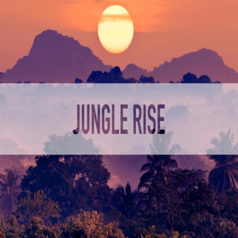 Jungle Rise | Boomplay Music