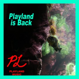 Playland is Back