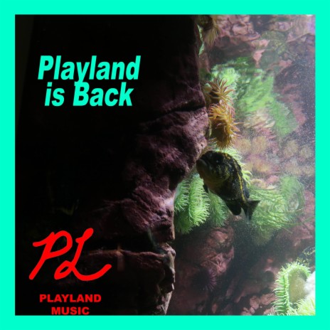 Playland is Back | Boomplay Music