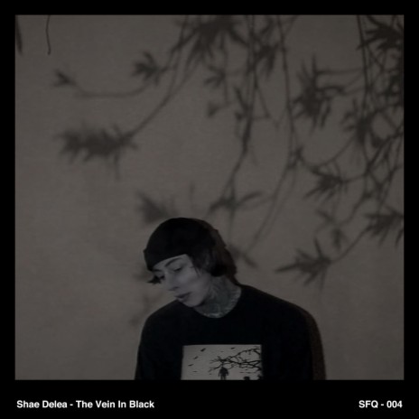 The Vein in Black | Boomplay Music