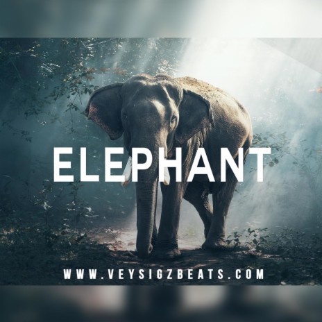 Elephant | Boomplay Music