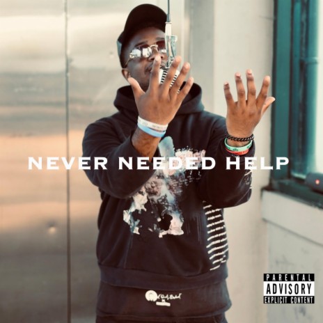Never Needed Help | Boomplay Music