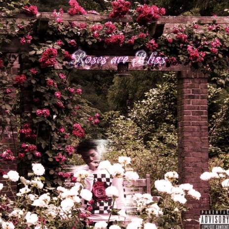 Sweetest Rose | Boomplay Music