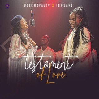 Testament Of Love ft. IB Quake lyrics | Boomplay Music