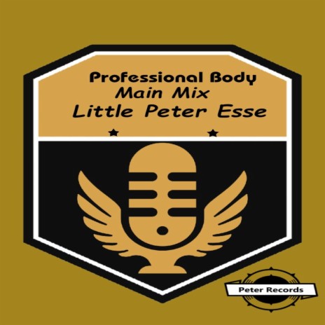 Professional Body