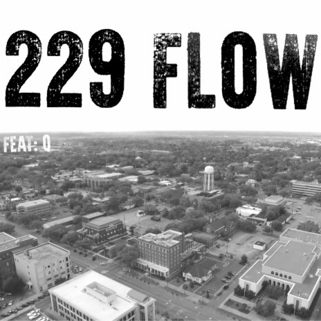 229 FLOW ft. Q | Boomplay Music