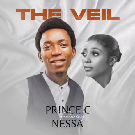 The Veil ft. Nessa | Boomplay Music