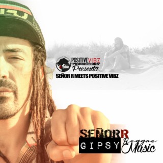 Gipsy Reggae Music