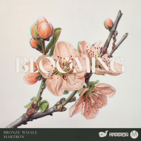 Bloom ft. Martron | Boomplay Music