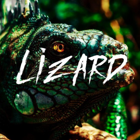 Lizard | Boomplay Music