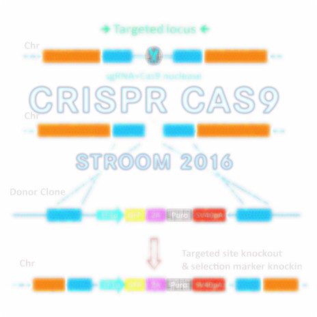 Crispr CAS-9 | Boomplay Music