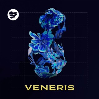 Veneris