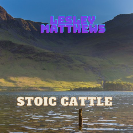 Stoic Cattle | Boomplay Music