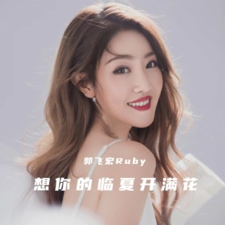 想你的临夏开满花 (Remix) lyrics | Boomplay Music