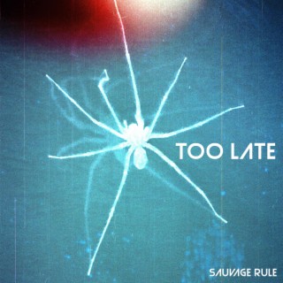 Too Late lyrics | Boomplay Music